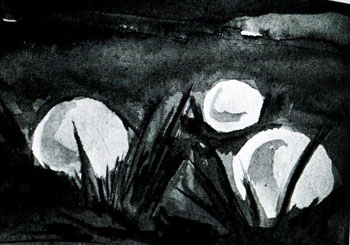 Иллюстрация, которая показывает примерный вид наблюдаемого свечения. Рис. С.Э. Ермакова.