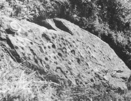 Камень из аула Лац с предполагаемым изображением Большой Медведицы. Фото А. Клушина. 