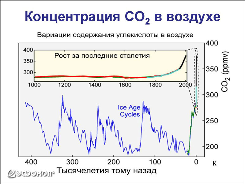 Рис. 3. Концентрация углекислого газа в воздухе [8].
