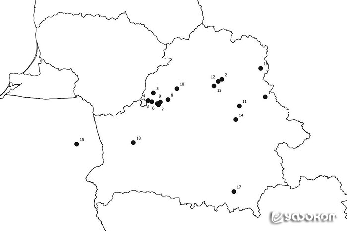 Городища с «гудящими дырками» на территории Беларуси. Сост. И. С. Бутов по данным Л. В. Дучиц.