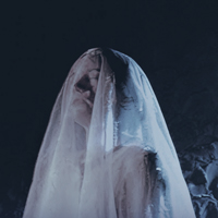 Вышла «Таинственная Беларусь VIII»