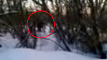 В кемеровской области снежного человека сняли на видео