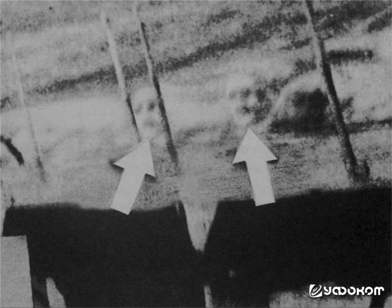 Рис. 1. Призрачные лица за бортом. Рис. 1. Призрачные лица за бортом.