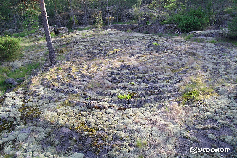 Рис. 4. Каменный лабиринт на острове Крутояр (Essaari). Фото автора, 2007 год.