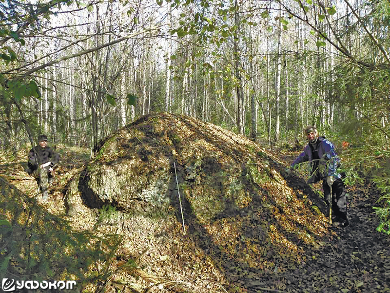 Фото 1. Синий Камень, находящийся в лесу около д. Докудово Крупского р-на Минской обл. Фото А. Алехновича.