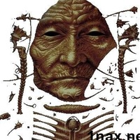 Кликни, чтобы узнать больше → Все как у Кастанеды…