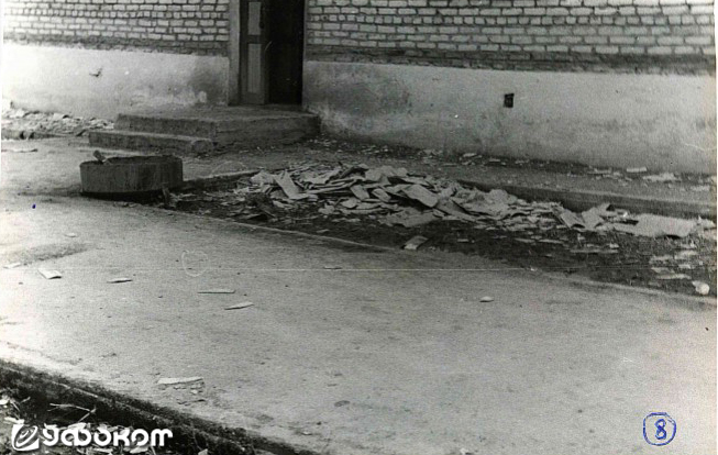 Фото 8. То же самое только левее. (Фото Фефелова В.Н.). Фото 8. То же самое только левее. (Фото Фефелова В.Н.).