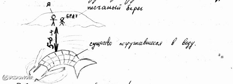 Рисунок очевидца. Рисунок очевидца.