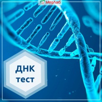 Как проводится генетическое тестирование