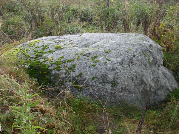 Рис. 3. Камень «у коровника» (вид с юга фото В. Акулов, 2012).