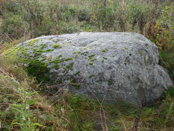 Рис. 3. Камень «у коровника» (вид с юга фото В. Акулов, 2012). Рис. 3. Камень «у коровника» (вид с юга фото В. Акулов, 2012).