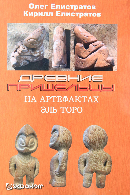 Елистратов О., Елистратов К. Древние пришельцы на артефактах Эль Торо. М., Белые альвы, 2024, 338 с. 