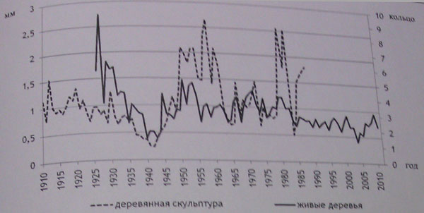 Шкала, построенная по живым деревьям дуба, и серия годичных колец, построенная по деревянной скульптуре.