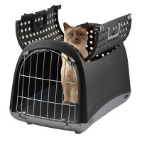 Как правильно подобрать переноску или сумку для путешествий с питомцем