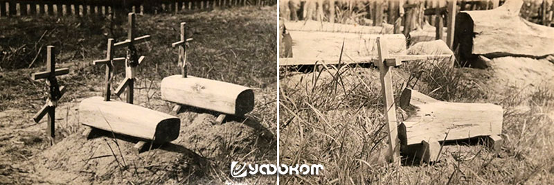 Рис. 18–19. Фотоснимки С. Хоментовской. 1928–1933 годы.