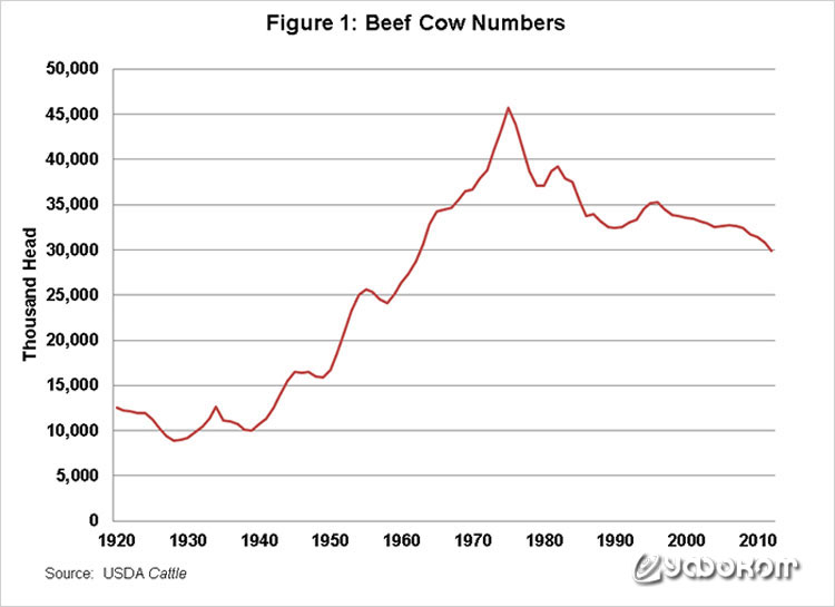 Сокращение поголовья коров мясных пород в США (в тысячах голов). Хорошо заметен резкий обвал с середины 70-х годов вследствие «Крушения», от которого мясная промышленность к 2010-м годам в полной мере так и не оправилась.