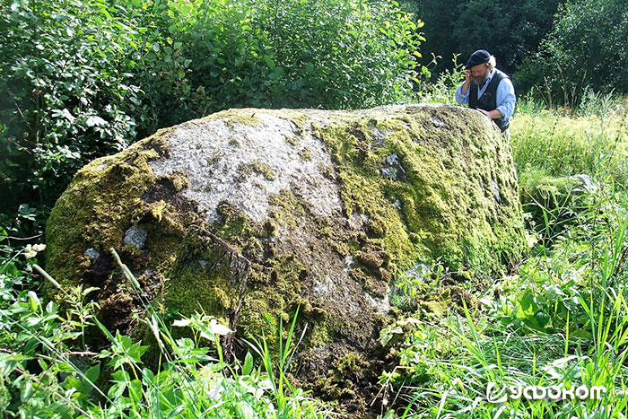 Рис. 3. Синий камень деревни Вамжишки. Фото автора, 2012 год.