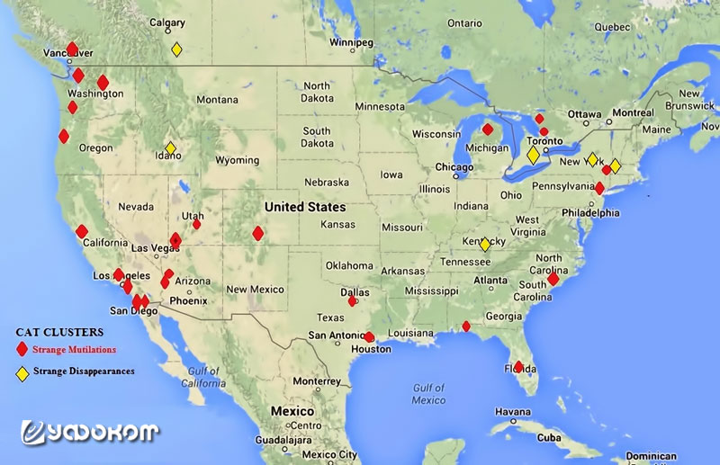 Инциденты с кошками в США и Канаде с 1996 по 2014 годы. Красные ромбики – места массовой гибели животных, желтые – места их загадочного исчезновения.
