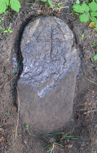 Камень, найденный в Белынычском районе. Фото Дмитрия Скворчевского.