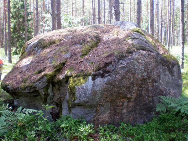Рис. 4. Камень в болоте Яньпурвс. Фото автора.