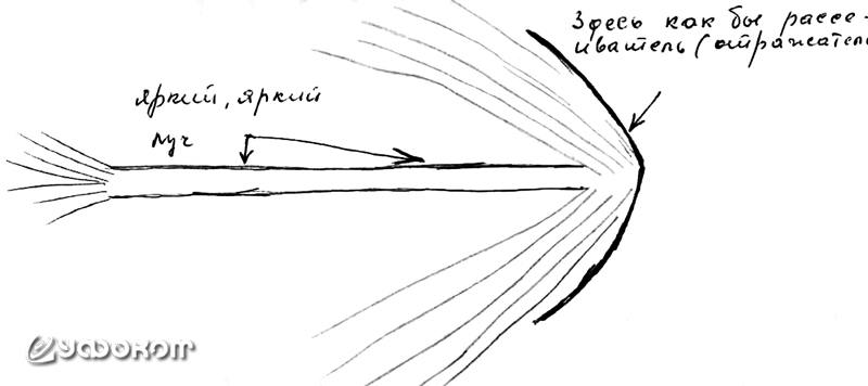 Второе наблюдение И. К. Жука. Рисунок очевидца.