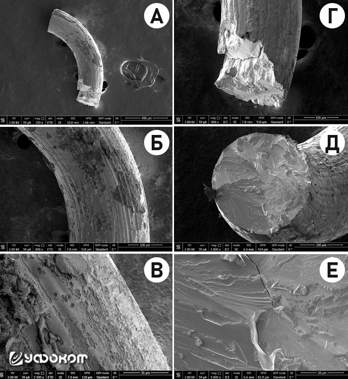 Рис. 3. РЭМ-изображения образцов при напряжении 2 кВ (режим детектирования вторичных электронов): A, Б, В – детектор ETD; Г, Д, Е – детектор ICE.