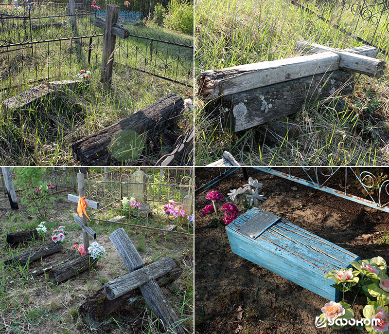 Приклады на кладбище дер. Речки. Фото автора.