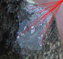На шлифе метеоритного образца видны блестящие чешуйки металла. Фото: ufo.lv