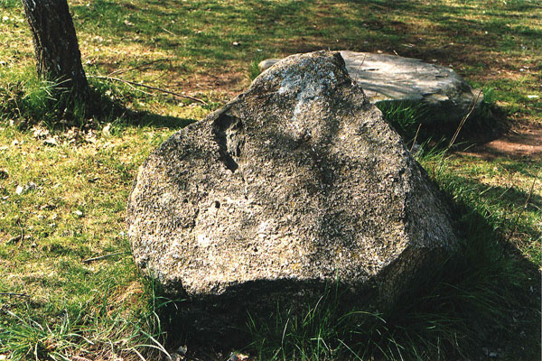 Рис. 6. Пример «камня-следовика»