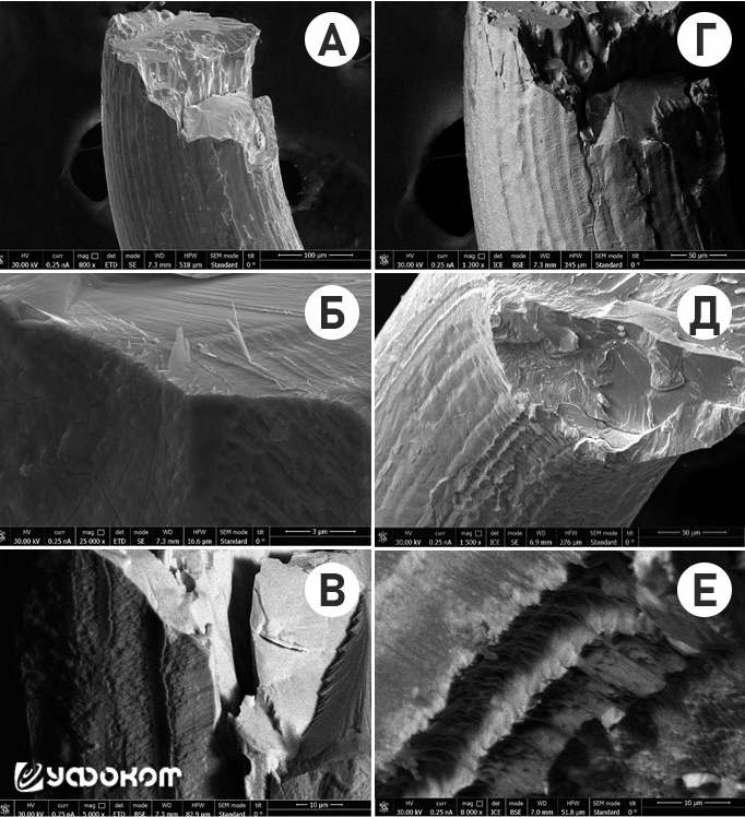 Рис. 4. РЭМ-изображения образцов при напряжении 30 кВ (режимы детектирования вторичных и обратно-рассеянных электронов): A, Б, В – детектор ETD; Г, Д, Е – детектор ICE.