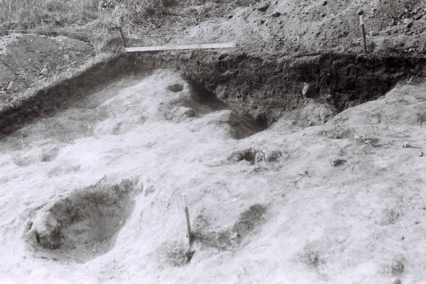 Материк раскопа на горе Городец (Полоцкий район) в 1990 году.