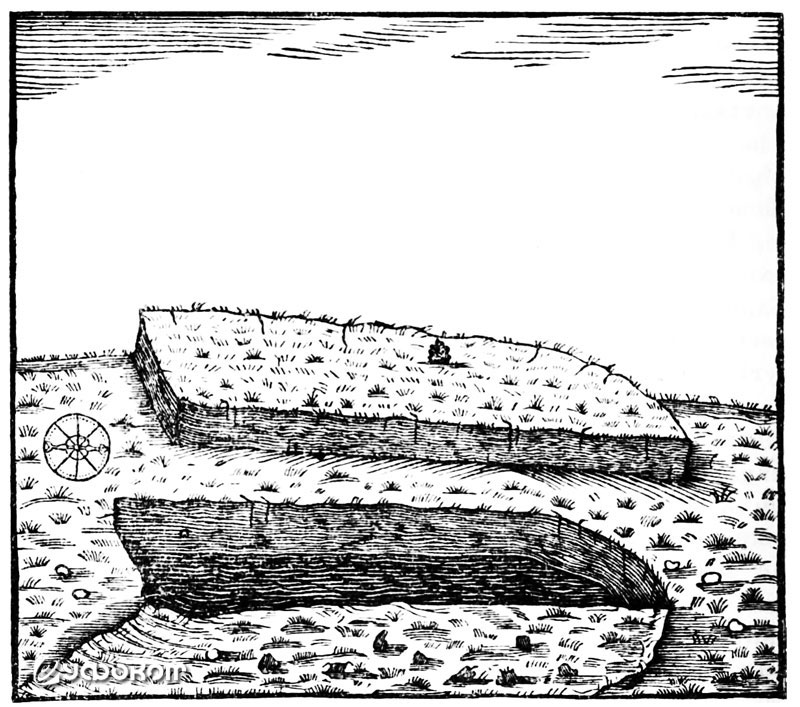 Рисунок профессора Дроссандера. Рисунок профессора Дроссандера.