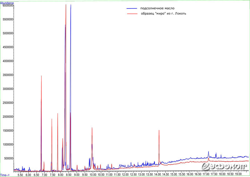 Рис. 10. Результаты анализа образцов из г. Локоть, полученные при проведении газовой хроматографии. 