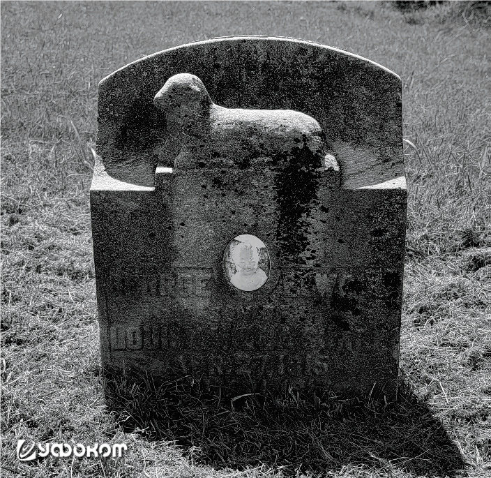 Надгробие Джорджа Элвуда Шарпа (фото автора).
