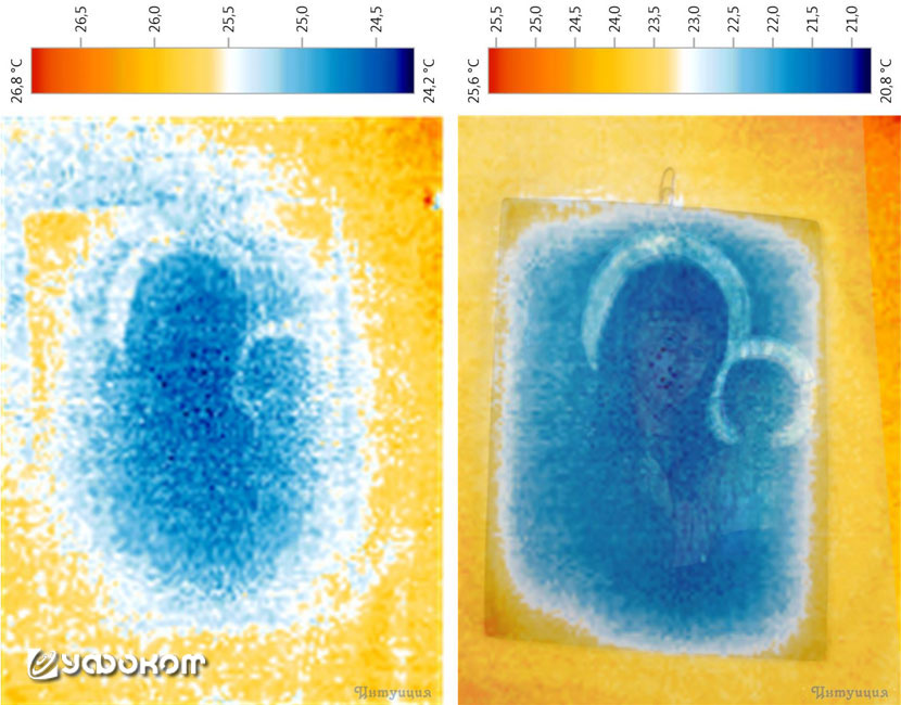 Термограмма мироточащей иконы Казанской Богородицы (г. Барнаул, 2014 год). Виден весьма значительный градиент температуры в зависимости от толщины доски, явно выделяются и металлизированные покрытия нимбов.