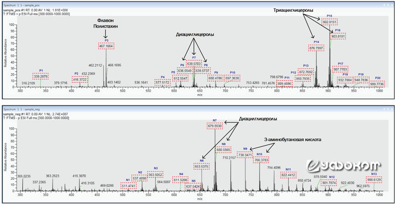 Рис. 11. Профили масс-спектрометрии «миро», полученные с помощью липидомического анализа.