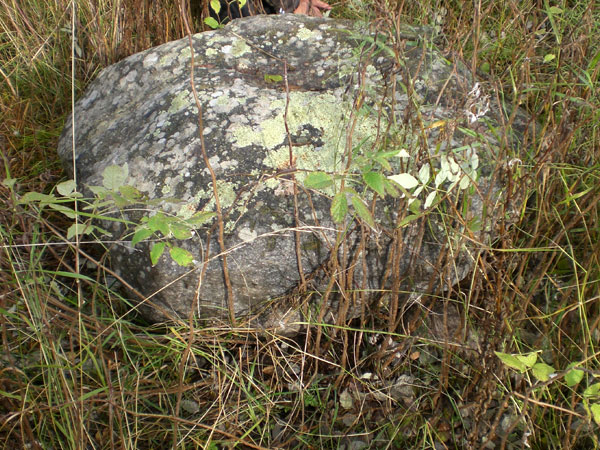 Рис. 14. Камень, условно названный «сейд» (расположен дальше от озера). На фотографии видно, что большой камень опирается на меньший. Вершина камня, возможно, обработана (фото В. Акулов, 2012).