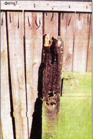 Фото 7. Остатки сгоревшей двери.