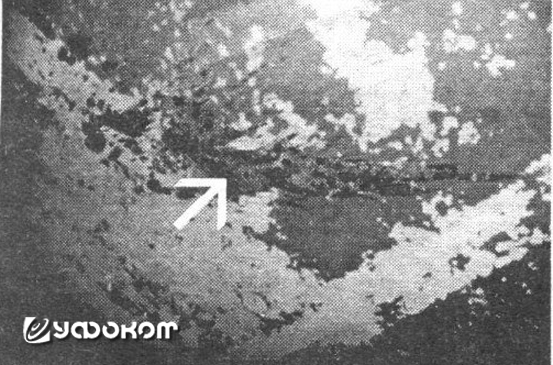 Следы разлитой на потолке туши. Фото В. Репецкого. Следы разлитой на потолке туши. Фото В. Репецкого.
