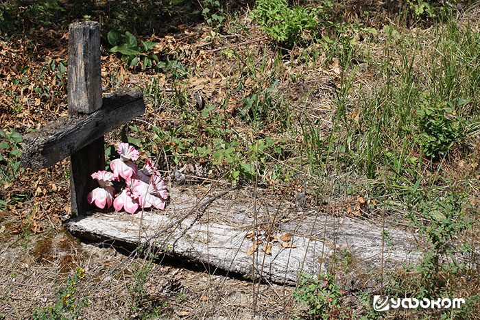 Рис. 23. Плаха-стол на кладбище д. Мыщицы Жабинковского района. Фото В. Гайдучика, 2018 год. Рис. 23. Плаха-стол на кладбище д. Мыщицы Жабинковского района. Фото В. Гайдучика, 2018 год.