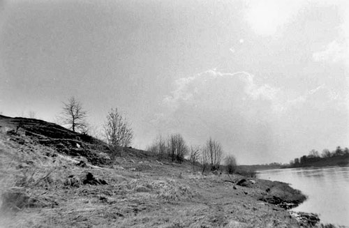 Вид с северной стороны на камни капища в урочище Криница (Купа, Купавина). Снимок сделан автором весной 1994 г. 