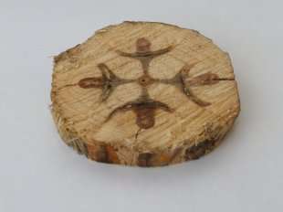 Рис. 7. Крест на спиле дерева, найденный в Южной Осетии.