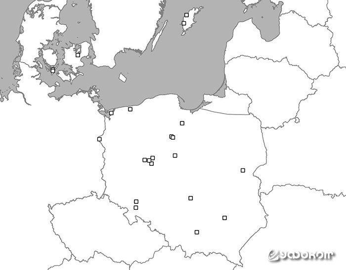 Рис. 4. Археологические находки погребений ничком в Польше и Скандинавии (по данным Л. Гарделы).