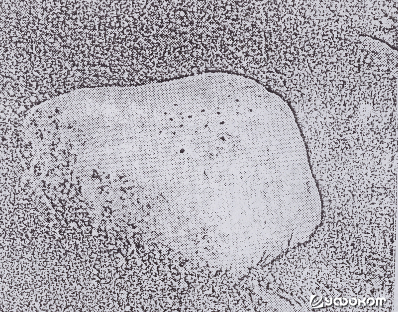 Рис. 7. Камень с лунками у д. Трышкес [38, с. 3].