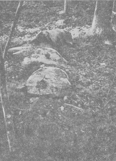Рис. 3. Камни южней части Циравско-Дуналкского каменного комплекса.
