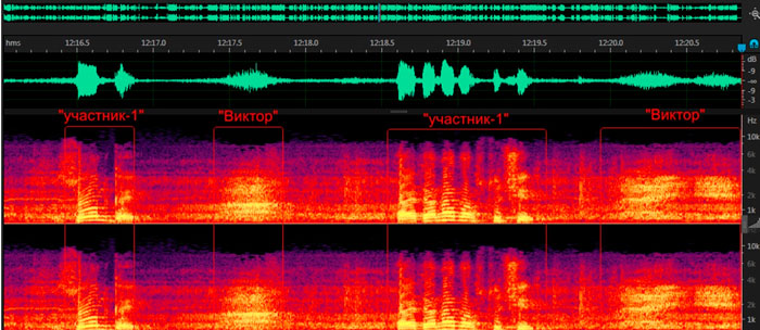 Сравнительная спектрограмма голосов «Виктора» и одного из участников. 