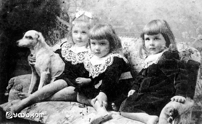 Дети Юзефа и Марии Еленских: Мария, Казимир и Габриэлла. Мог ли один из них являться фокальным лицом этого случая? Дети Юзефа и Марии Еленских: Мария, Казимир и Габриэлла. Мог ли один из них являться фокальным лицом этого случая?