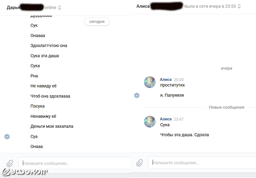 Примеры сообщений от неизвестного, после взлома странички Даши во «ВКонтакте» (февраль 2018), где есть косвенное указание на Соловьева – «Деньги мои захапала» и «я. Папуяяля».