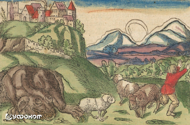 Вавельский смок. Изображение из «Космографии» Себастьяна Мюнстера, 1550 г.
