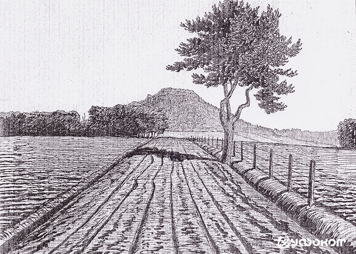 Варганская Гора возле д. Варганы Докшицкого р-на Витебской обл. Рис. Я. Дроздовича, 1926 год. Варганская Гора возле д. Варганы Докшицкого р-на Витебской обл. Рис. Я. Дроздовича, 1926 год.